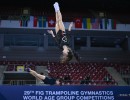 wch sofia trampoline dmt tumb 2022 02497 
